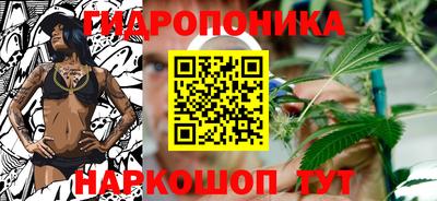 мяу мяу мука Малгобек