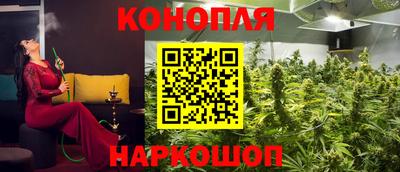 мяу мяу мука Малгобек