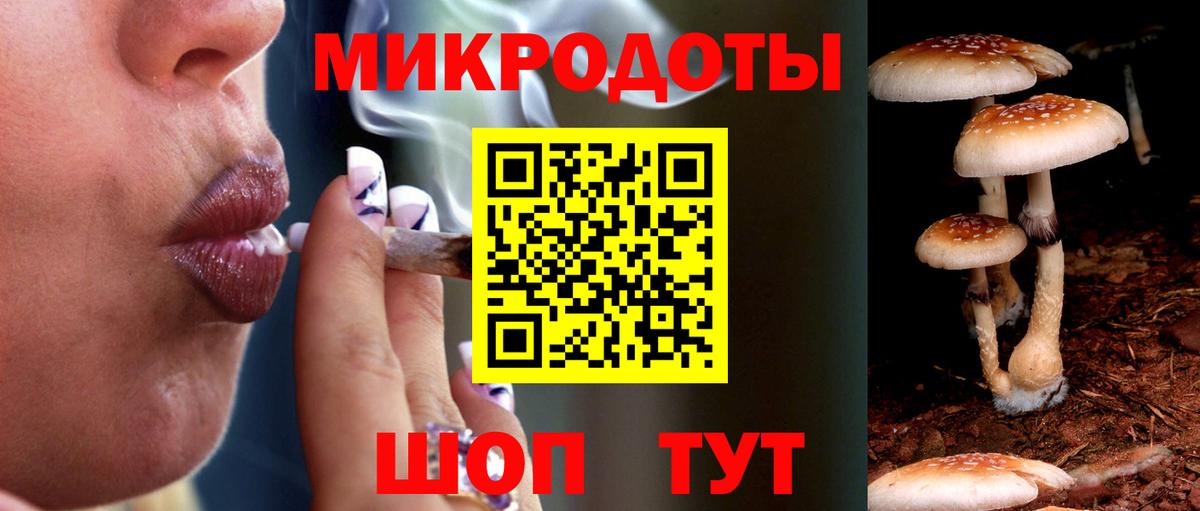 Псилоцибиновые грибы GOLDEN TEACHER Донской